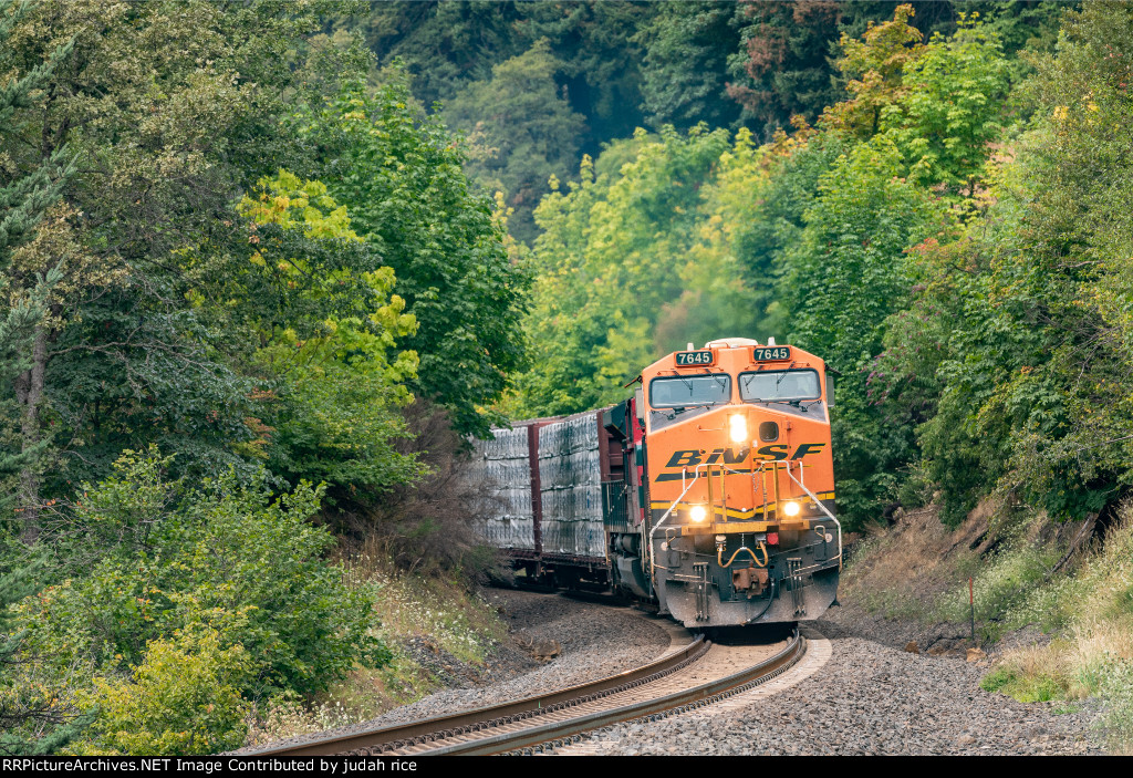 BNSF 7645